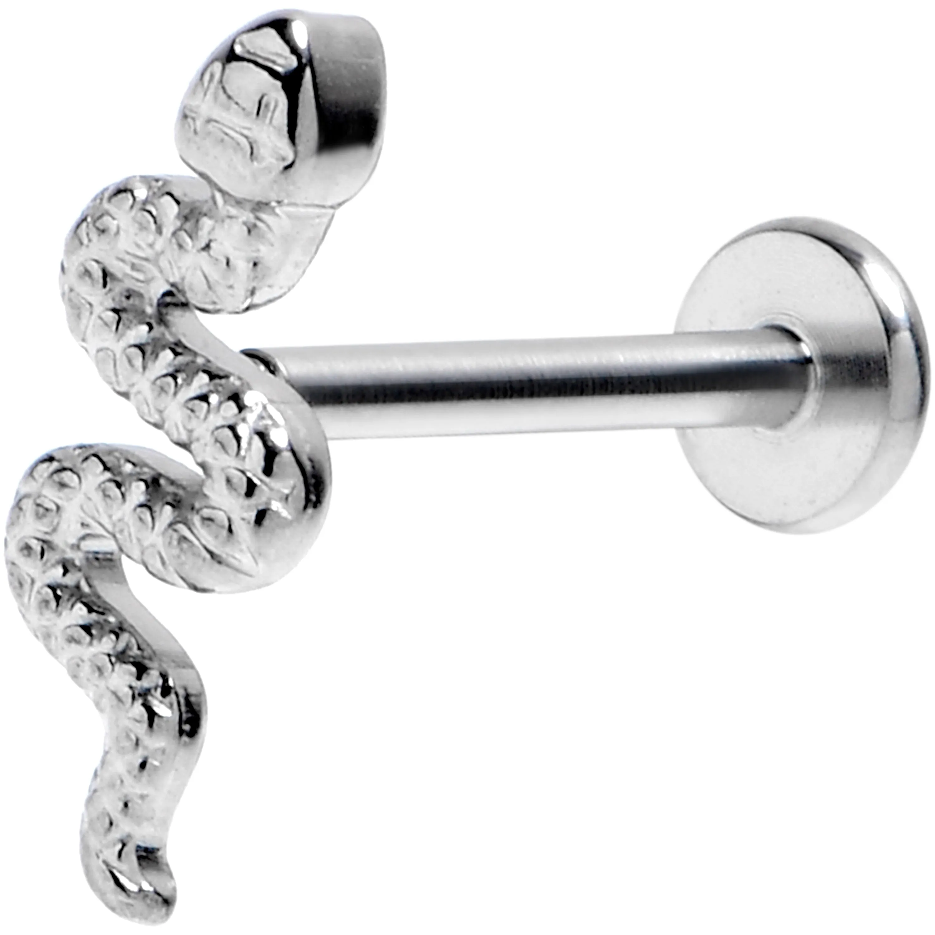 16 Gauge  3/8 Grade 23 Titanium Snake Threadless Push In Labret Tragus