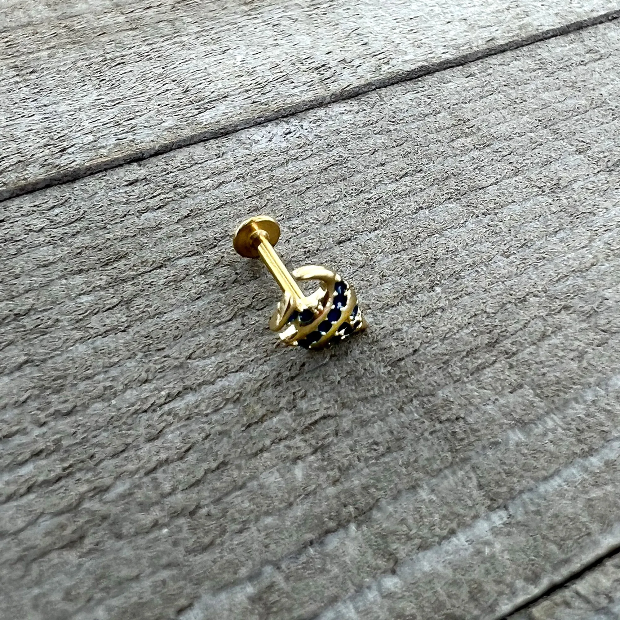 16 Gauge 5/16 Gold Tone Blue Adorable Angelfish Labret Monroe Tragus