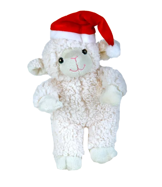 Christmas Hat