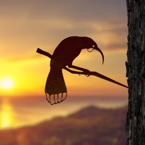 Huia