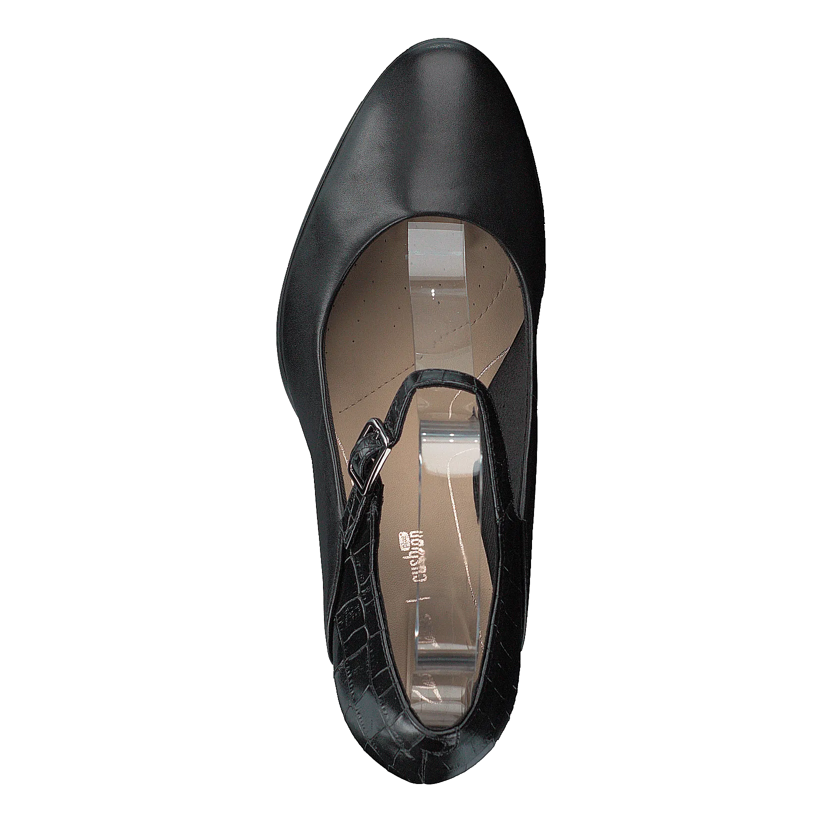 Kaylin Alba Black Combi