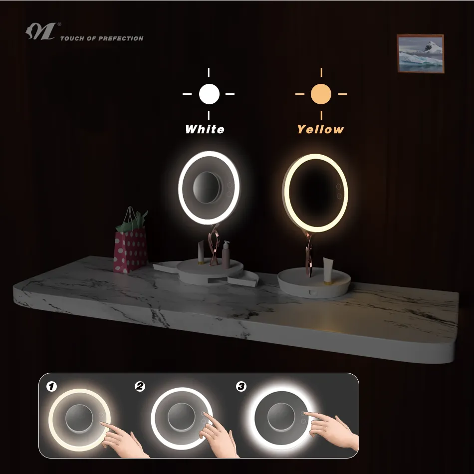 led lighted makeup mirror with 10X Magnifiying base storage drawer