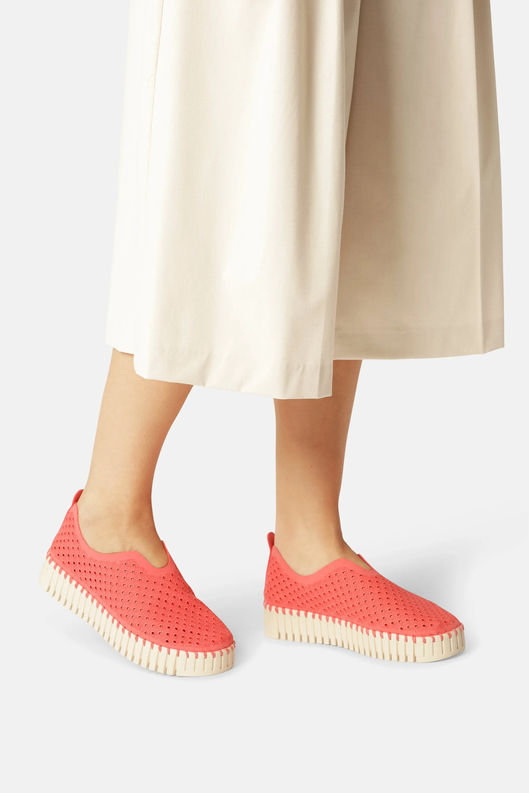 Platform Tulip Skor - Raspberry