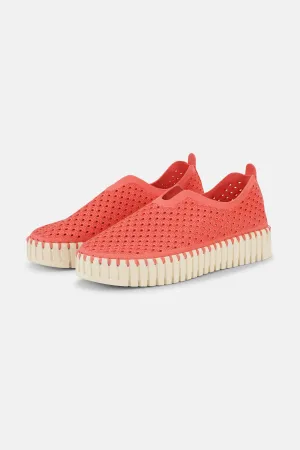 Platform Tulip Skor - Raspberry