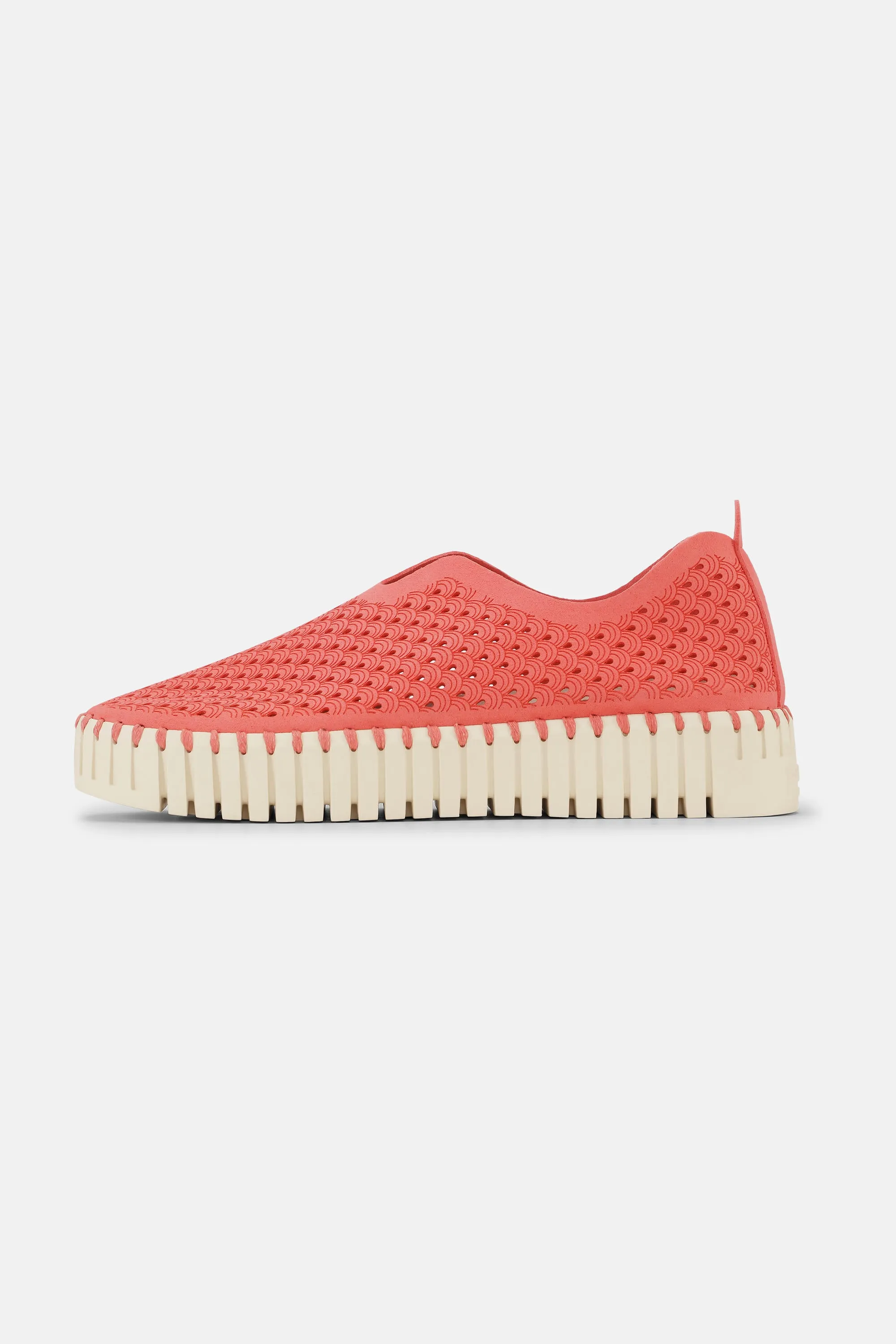 Platform Tulip Skor - Raspberry