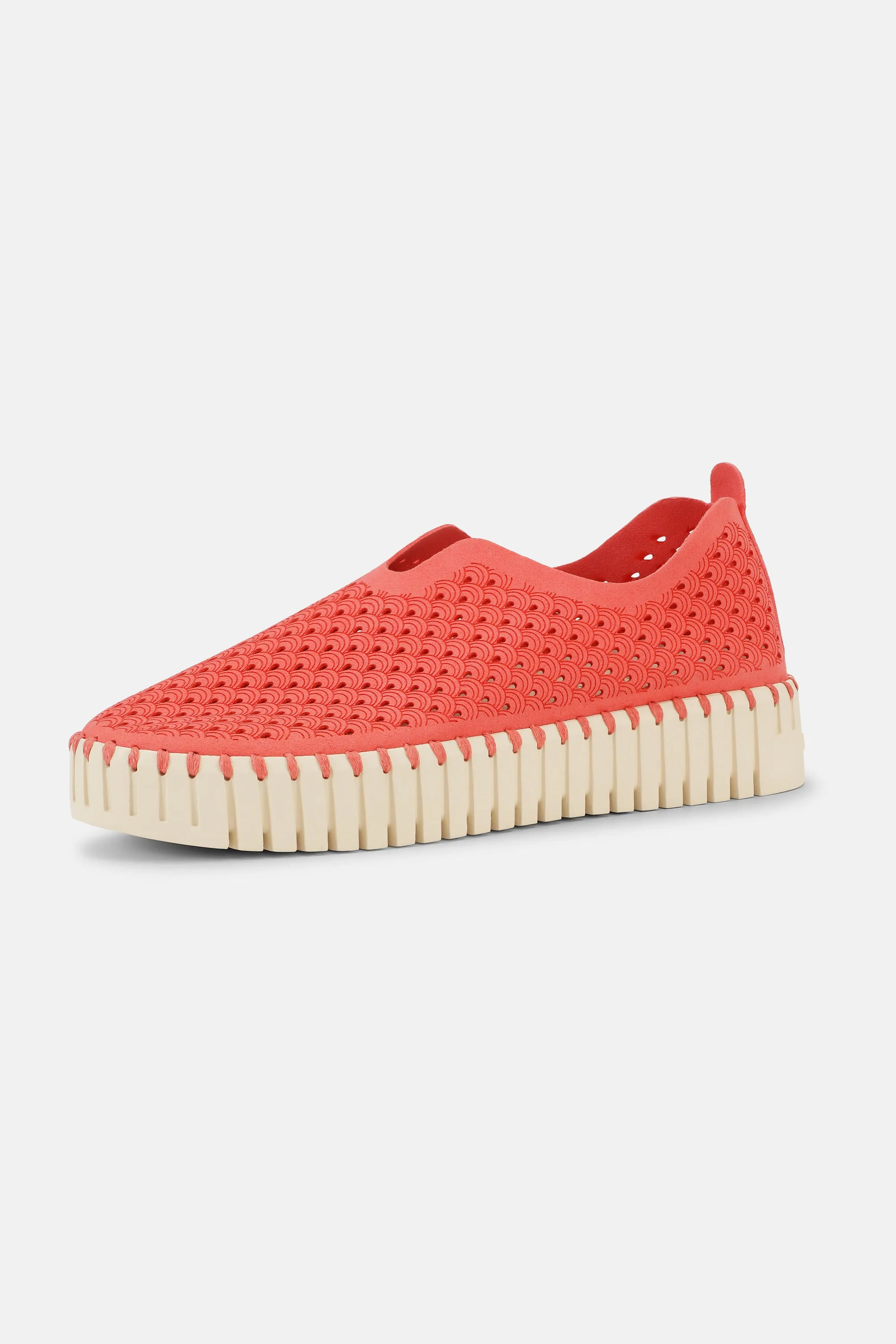 Platform Tulip Skor - Raspberry