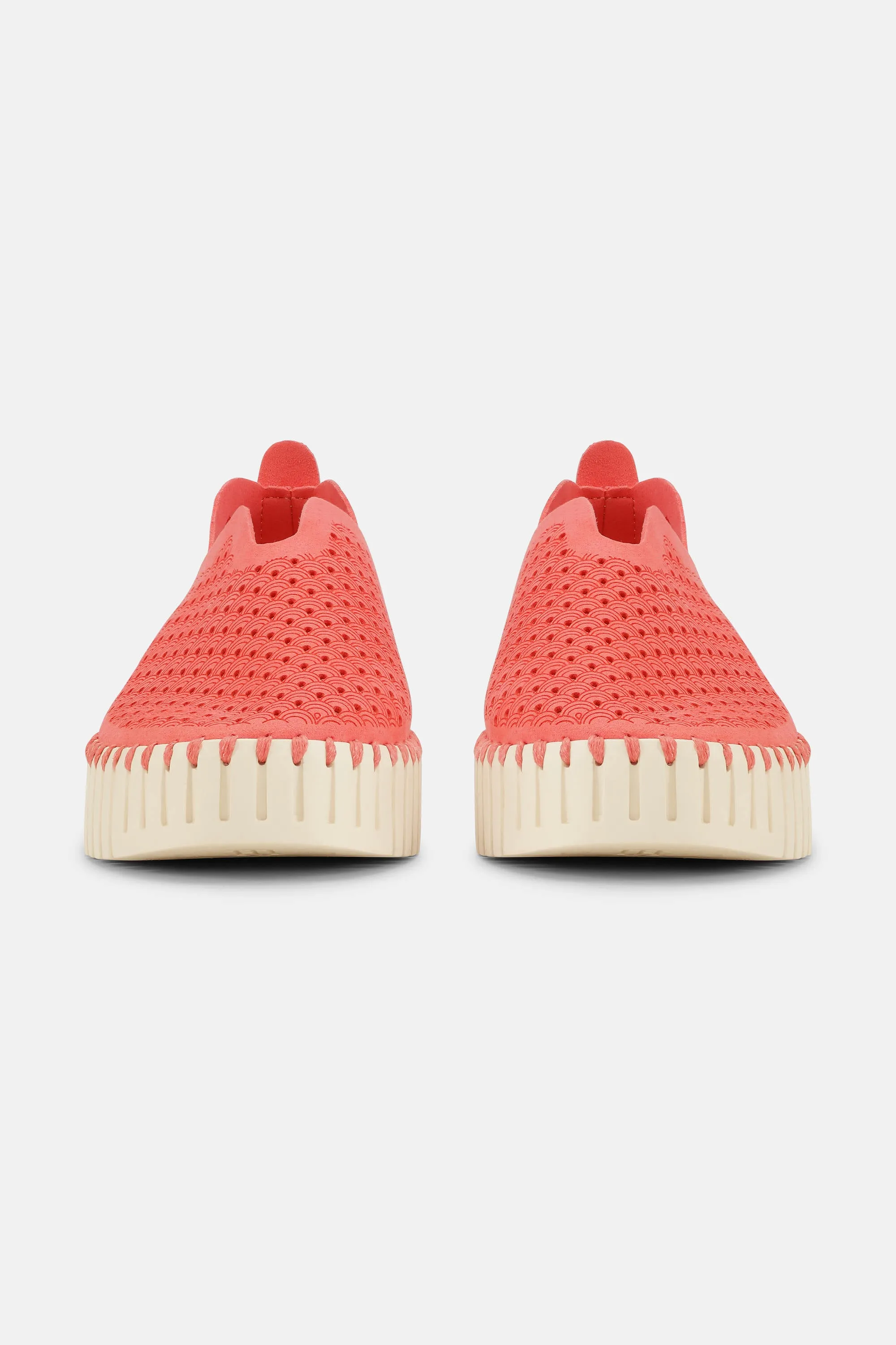 Platform Tulip Skor - Raspberry