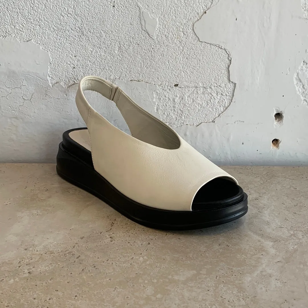 Sempre Di 9116 Bone