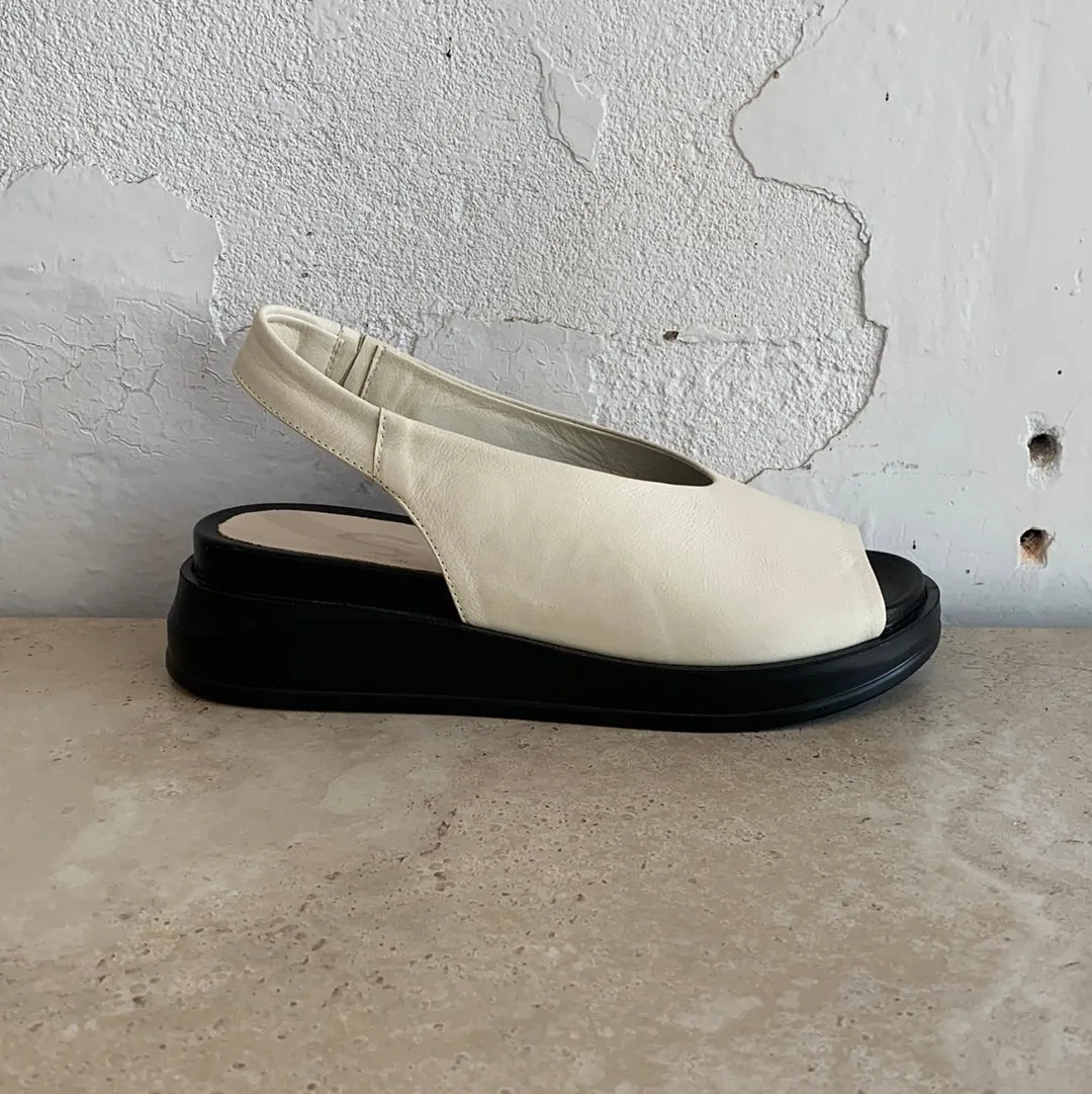 Sempre Di 9116 Bone