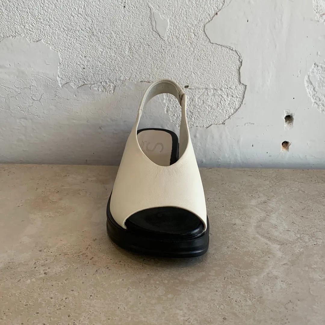 Sempre Di 9116 Bone