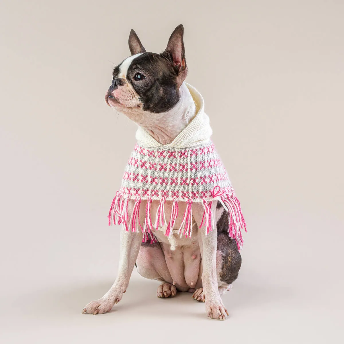 Sophia Alpaca Dog Poncho in Pink