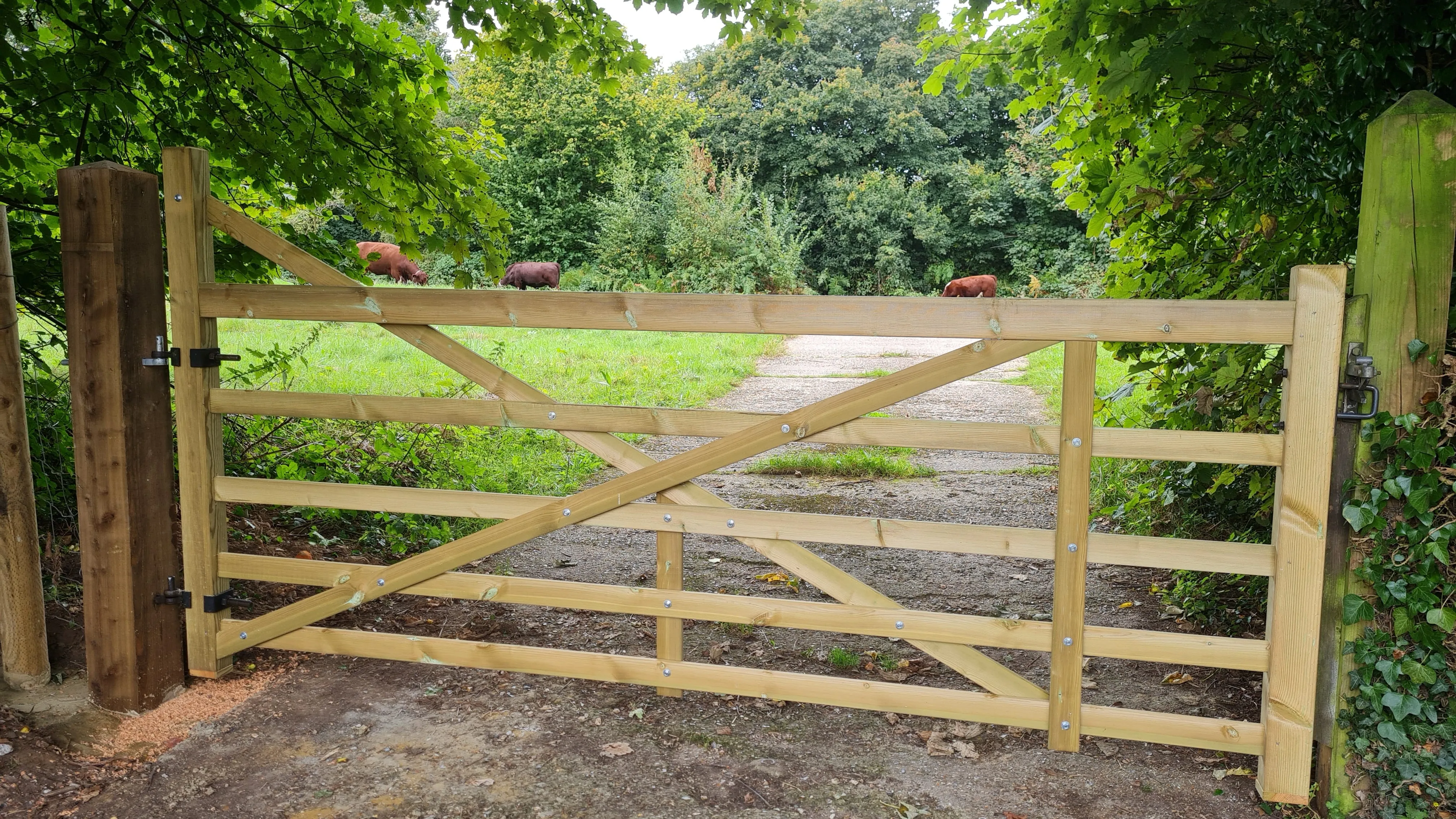 Straight Heel Clawton Planed Gate