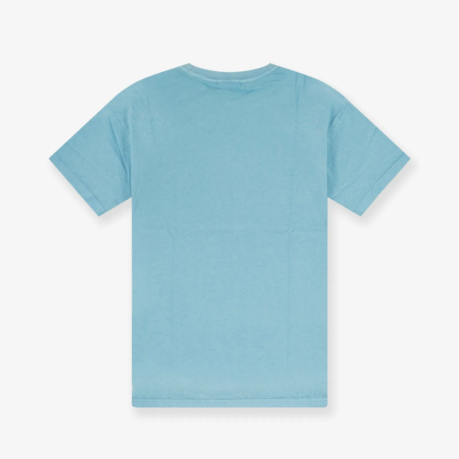 University Of North Carolina Tar Heels NCAA Vintage Arch Tee - Blue